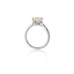 18ct White Gold Solitaire Diamond Ring side view on white background