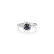 Pre-owned Browns black diamond halo ring in 18ct white gold, South Africa