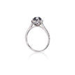 Browns Angel Collection 18ct White Gold Black Diamond Halo Ring