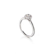 Browns 18ct White Gold Claw Set Diamond Halo Ring