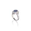 9ct White Gold Tanzanite and Diamond Bezel Setting Halo Ring