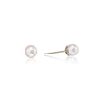 NEW MG 9ct Yellow Gold Cultured Pearl Earrings