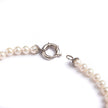 Browns 18ct White Gold  Protea Pearl Necklace