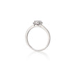 18ct White Gold Diamond Halo Ring