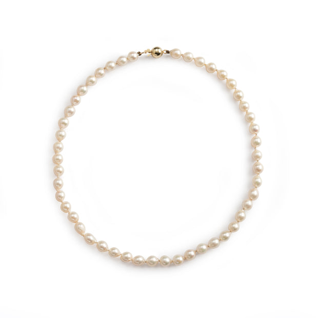 String of White Freshwater pearls with a 9ct Yellow Gold Clasp