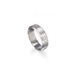 Platinum Gents Satin Finish Band top view
