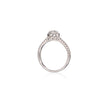 A white gold diamond ring with a round-cut center stone and a pavé band, shown on a clean white background with a soft reflection below.
