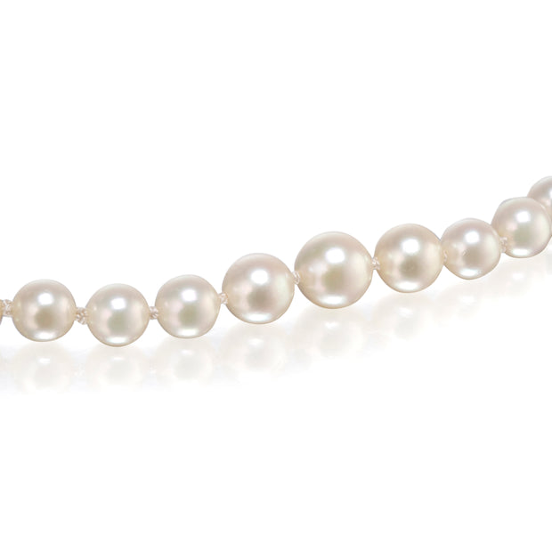 A close-up of a strand of white freshwater pearls on a clean white background.